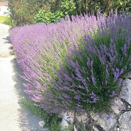 Auszeit