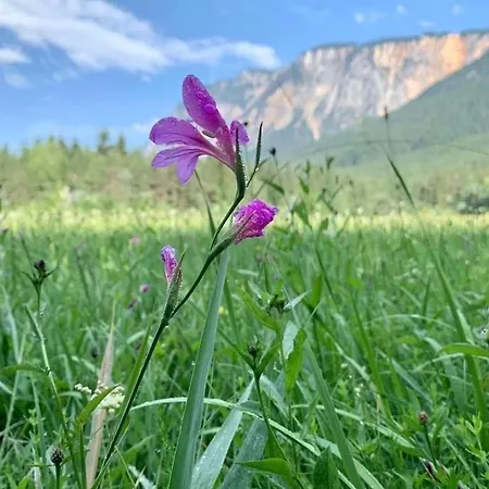 度假居 Auszeit Bis Zu 10 Personen 菲拉赫