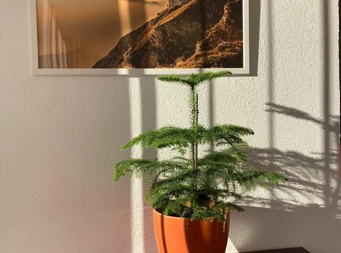 Nyaraló Auszeit Bis Zu 10 Personen Villach