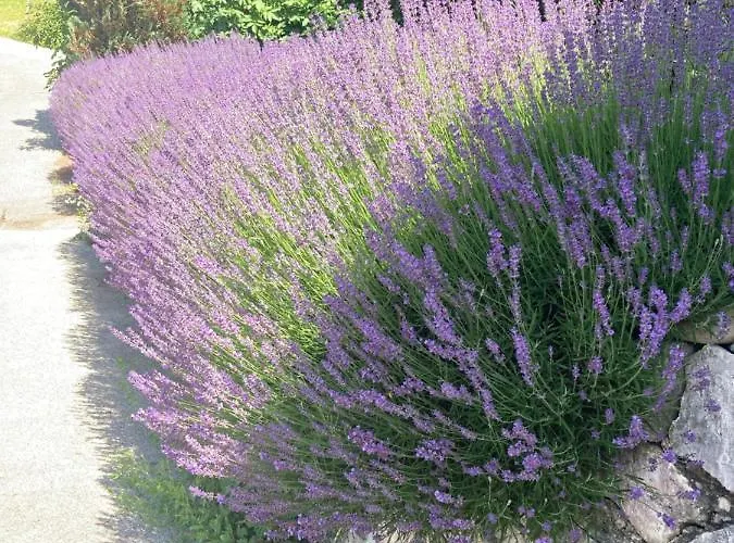 Auszeit Bis Zu 10 Personen