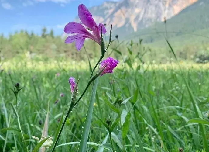 Дом отдыха Auszeit Bis Zu 10 Personen Филлах